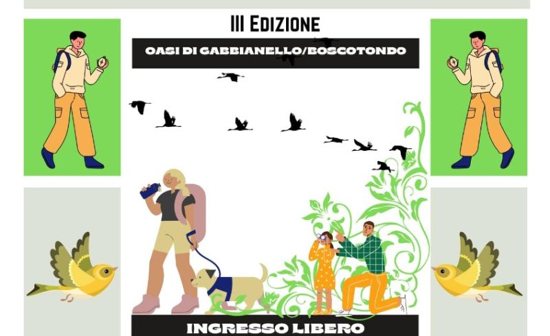 457789003_496244933160272_5052867120195682891_n