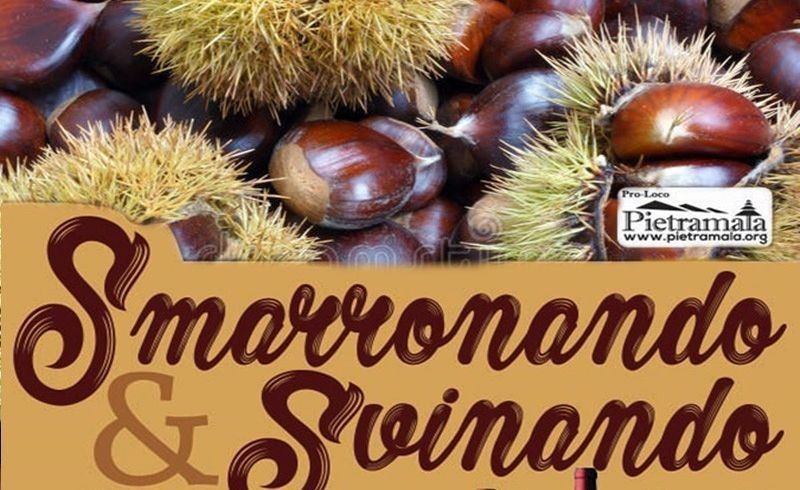 800x490-crop-80-nuovalocandinasmarronando2023