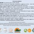 mostra2