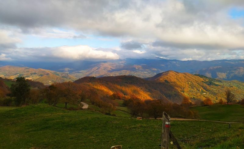 Monte Giovi 2.jpg