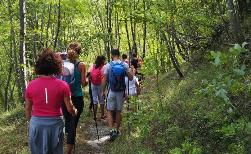 trekking-fornello-vicchio-passeggiate-14