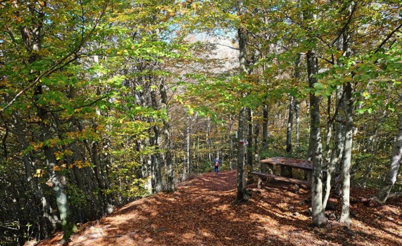 monte-altuzzo-autunno7