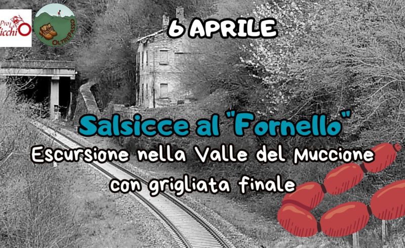 425303727_767878035401470_8012256415031228987_n