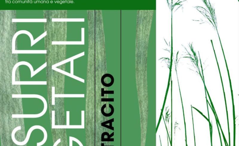 Mostra 'contro_versa'