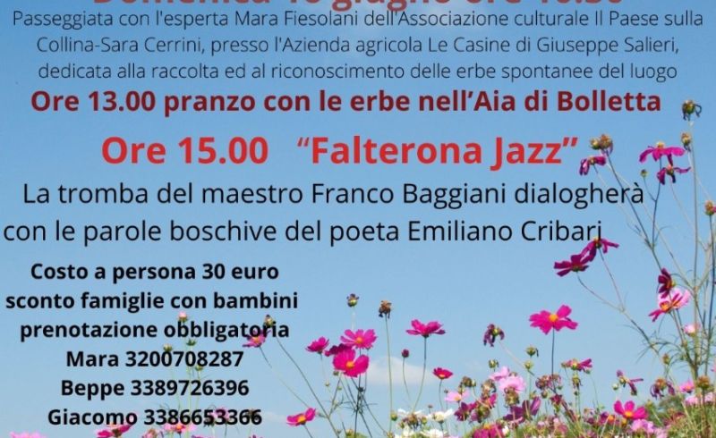 WhatsApp Image 2024-05-27 at 08.44.25