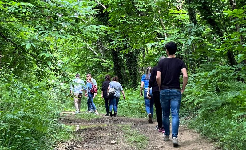 IMG-20240518-WA0018(1)