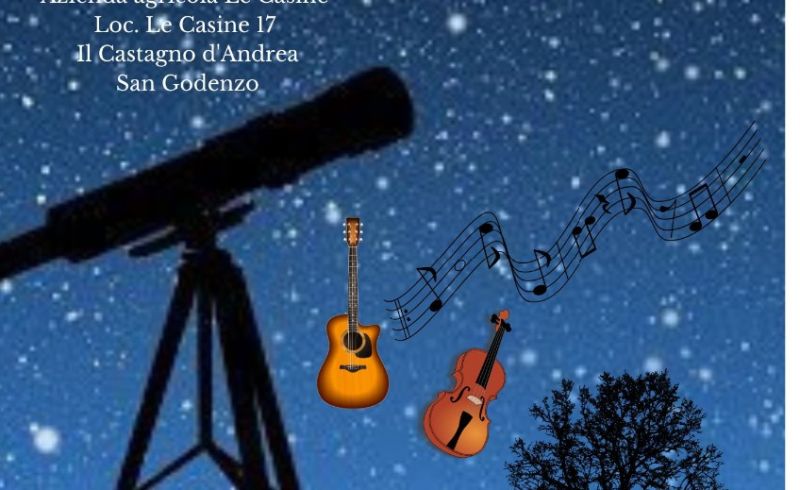 erranti note di stelle 2024 locandina