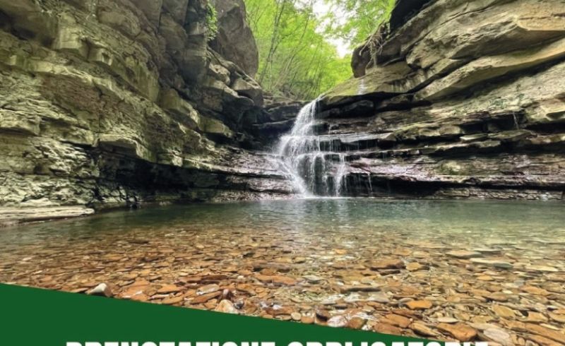 TREKK-STAMPA_page-0001