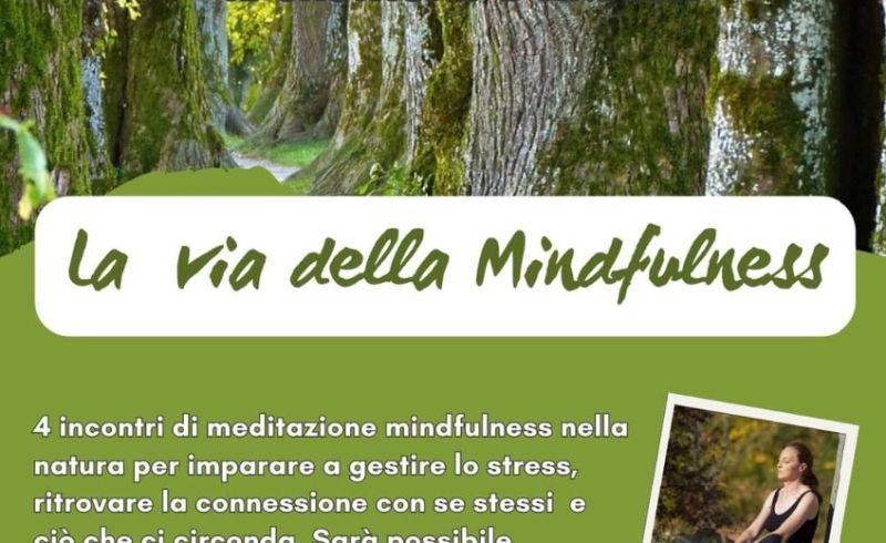 WhatsApp Image 2024-07-30 at 08.51.45