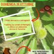 19_10-Trekking-delle-Castagne