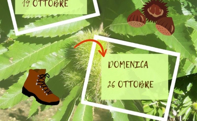 Trekking-delle-Castagne-Generale