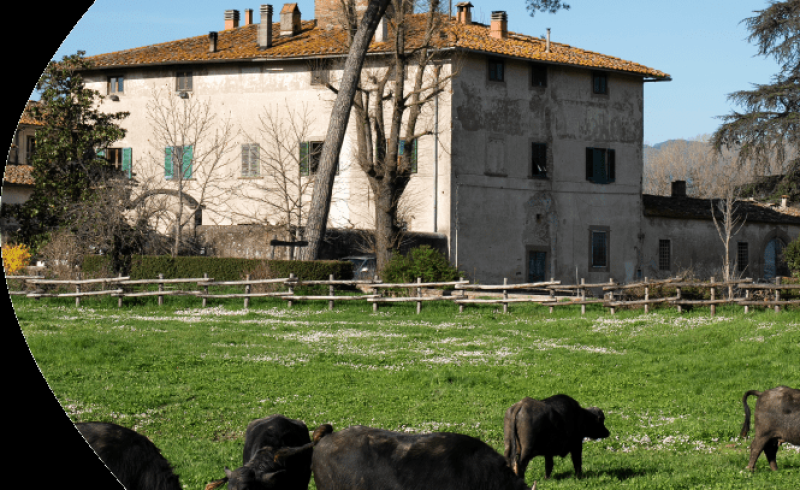 Passeggiata-agricola-min
