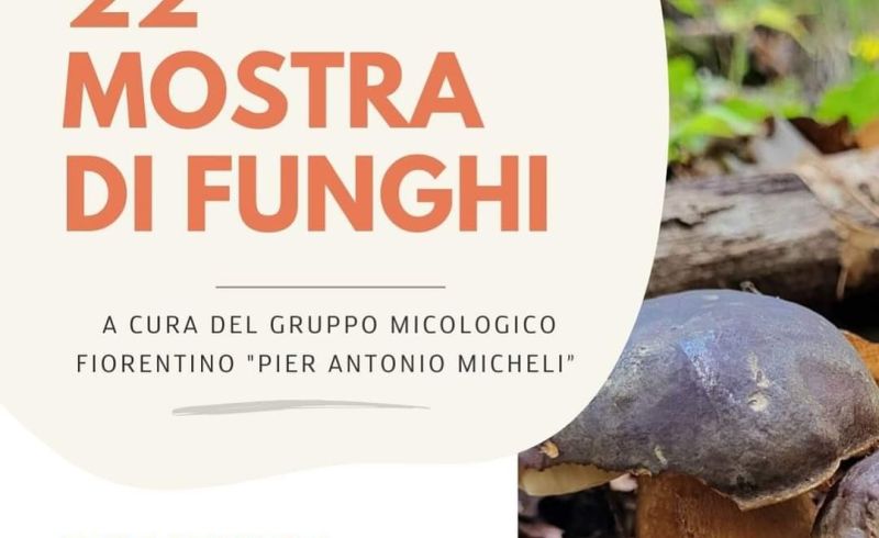 facebook_1727945977436_7247530724946885051