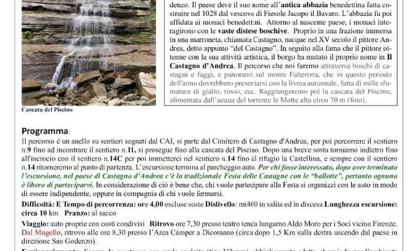 Castagno-20-ottobre-2024