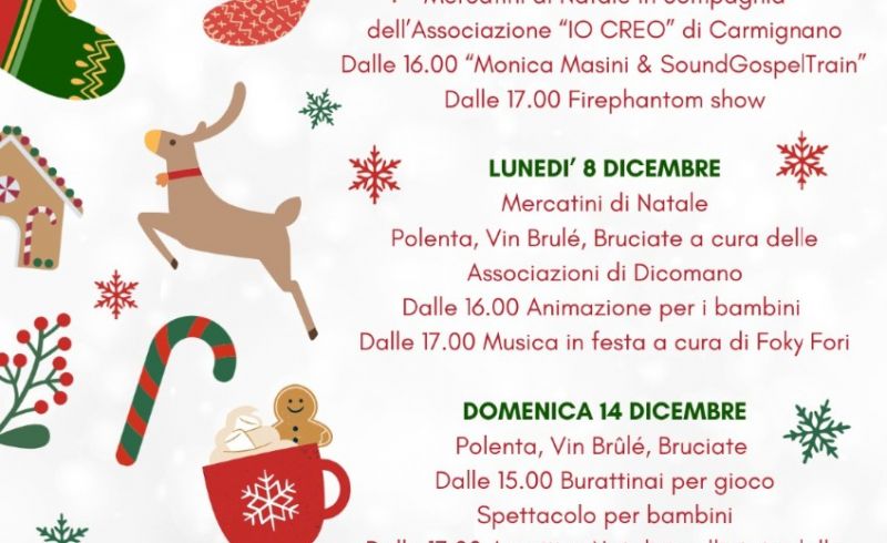 WhatsApp-Image-2025-11-21-at-11.50.05