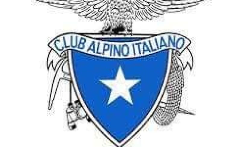 342995985_888963848836788_815693844530368603_n