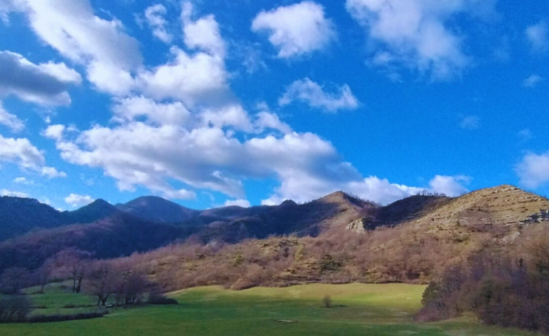 Foto-usate-per-il-sito-internet-7