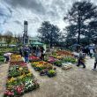 fiorinfiera 4