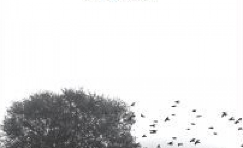 Screenshot 2025-06-12 094006