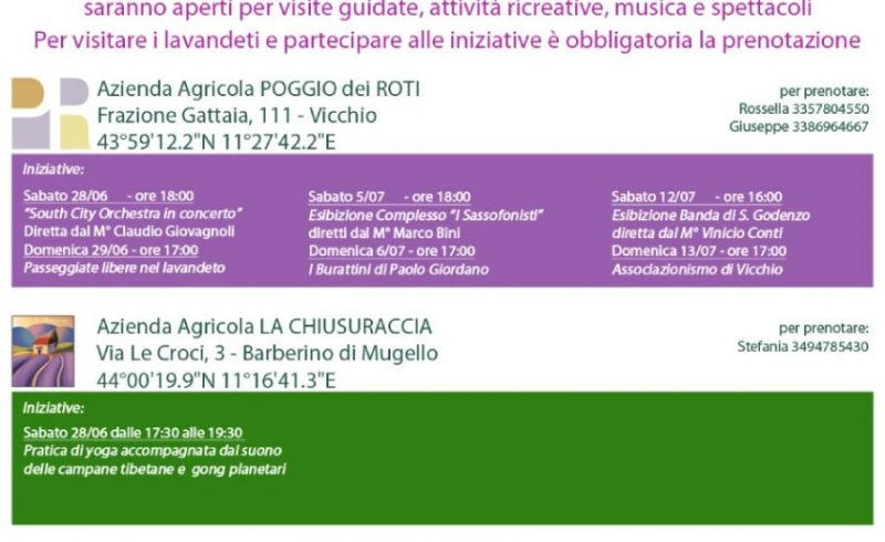 lavandeti-aperti-