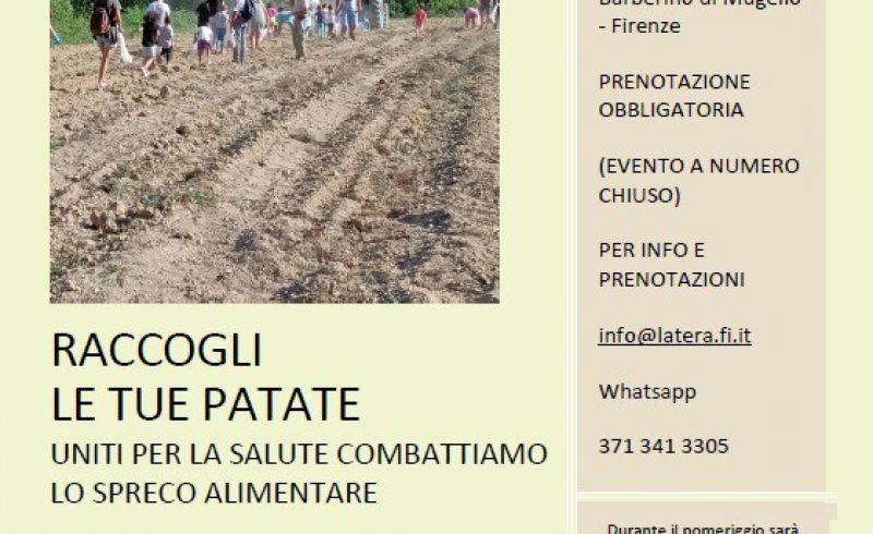 WhatsApp Image 2025-09-24 at 09.57.00(1)