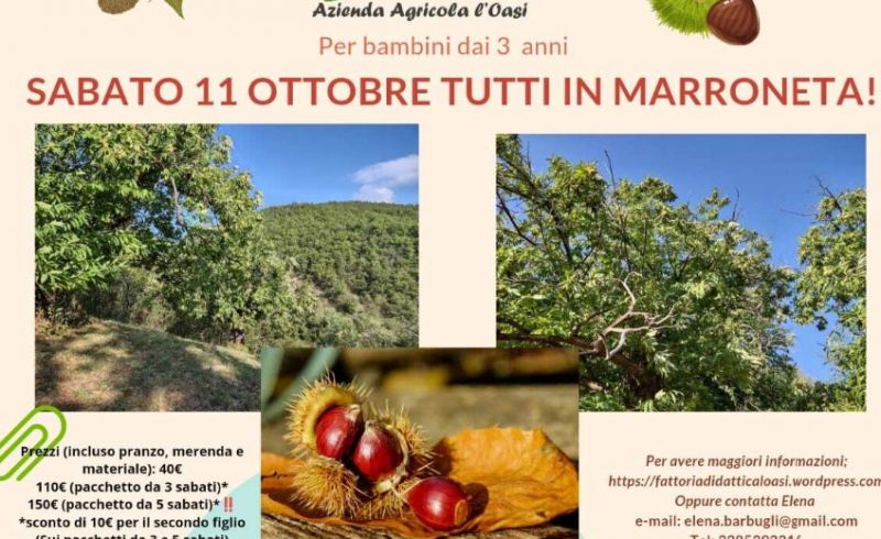 WhatsApp Image 2025-10-01 at 13.21.20