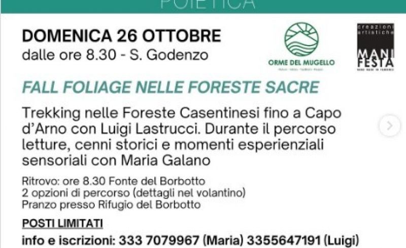 poietica fall foliage