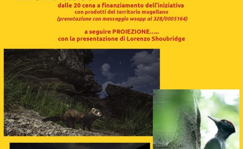 lorenzo serata_page-0001