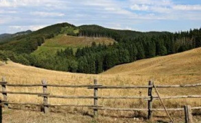 WhatsApp-Image-2026-02-10-at-10.23.40