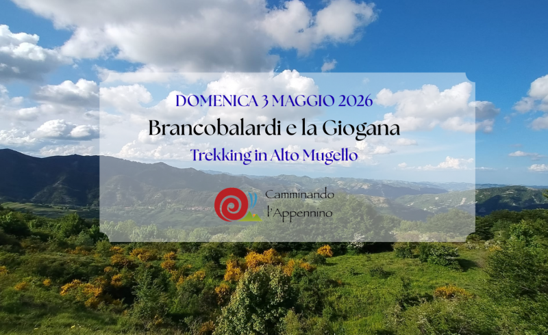 DOMENICA 3 MAGGIO 2026