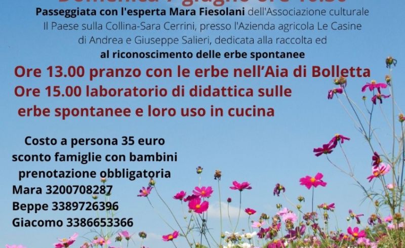 dal campo alla tavola.png