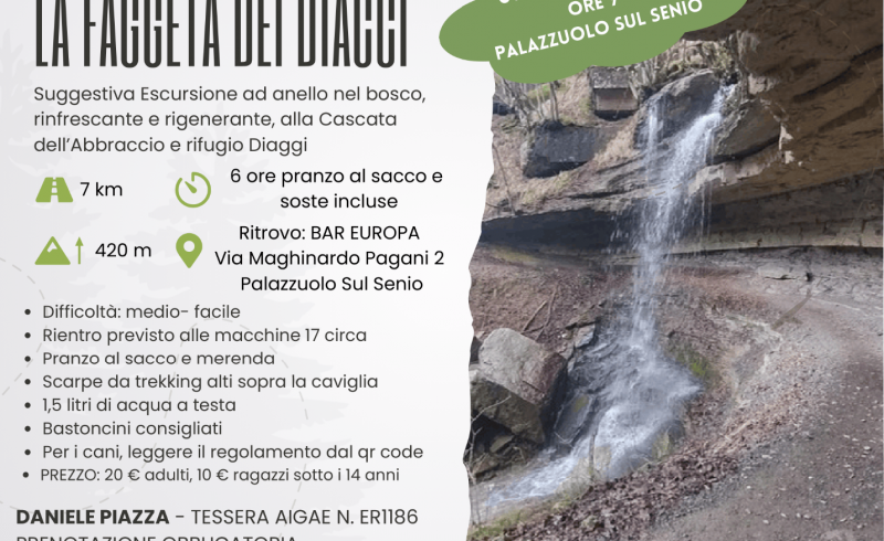 LA FAGGETA DEI DIACCI-1