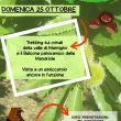 Trekking-domenica-25-Ottobre