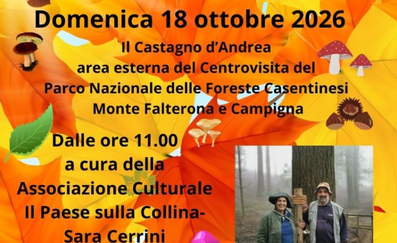 locandina mostra funghi castagno d'andrea