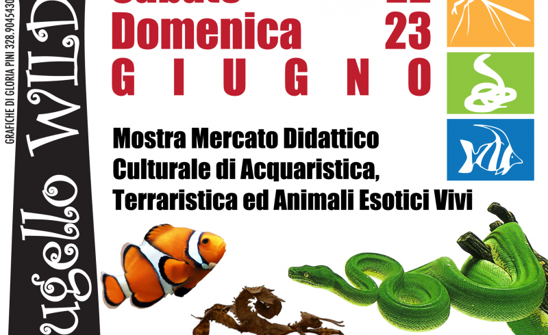 22ND AND 23RD/06 - MUGELLO WILD