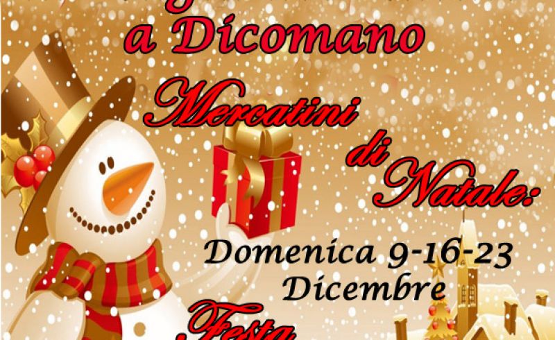 9th - 16th - 23rd/12 - CHRISTMAS MARKETS