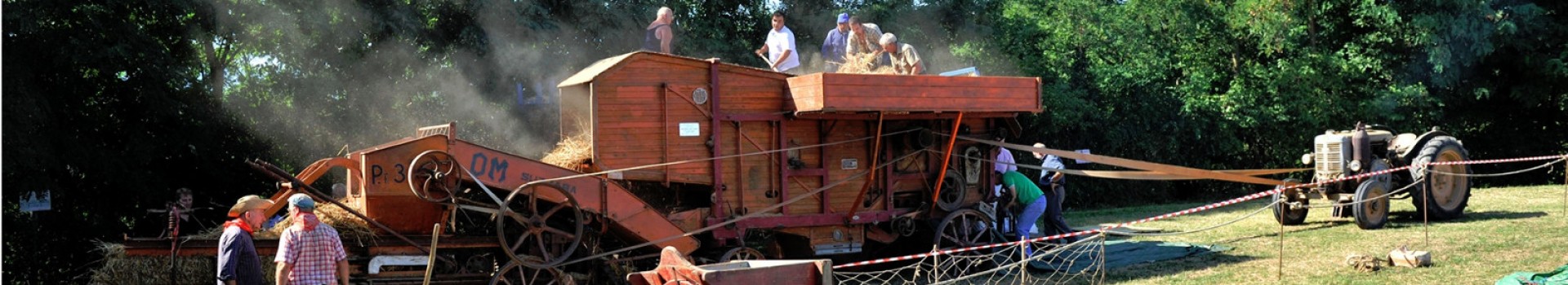 BATTITURA DEL GRANO_LEOPOLDO_CECCHI_ARTI E MESTIERI_03