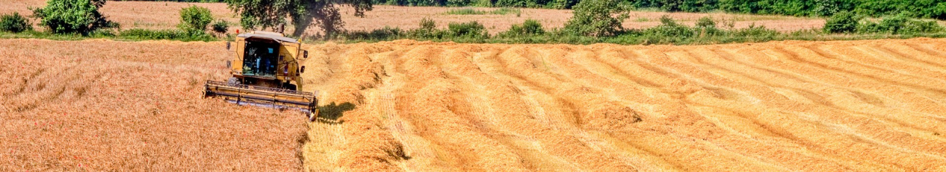 Stefano_Aramini_Arte-Mestieri01