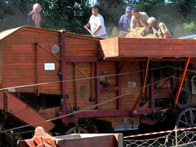 BATTITURA DEL GRANO_LEOPOLDO_CECCHI_ARTI E MESTIERI_03