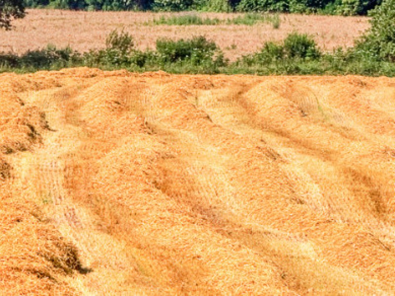 Stefano_Aramini_Arte-Mestieri01