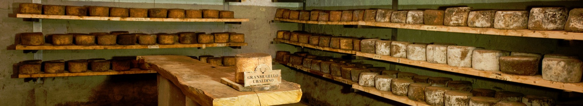 PRODUZIONE DI FORMAGGI A SENNI_LEOPOLDO _CECCHI_GASTRONOMIA_01