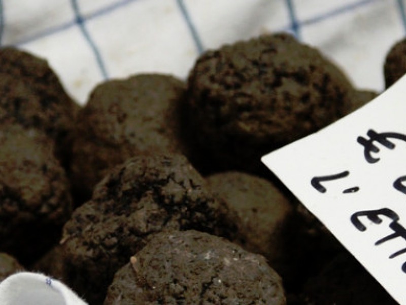 Paolo_Marracchi_gastronomia01Br