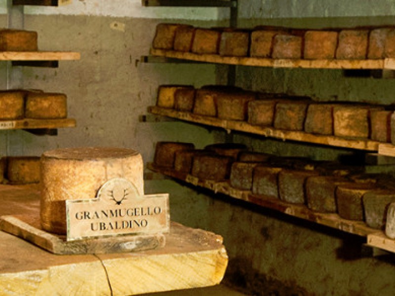 PRODUZIONE DI FORMAGGI A SENNI_LEOPOLDO _CECCHI_GASTRONOMIA_01