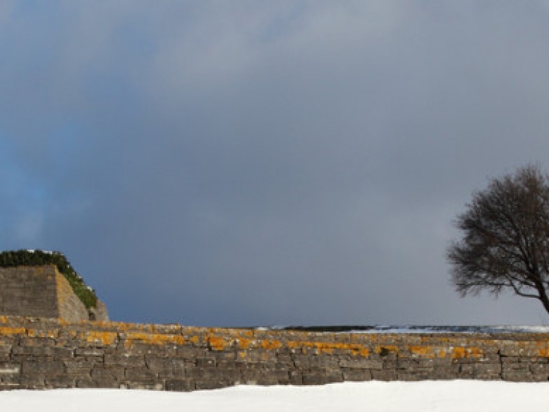 Paolo_Marracchi_cultura01A