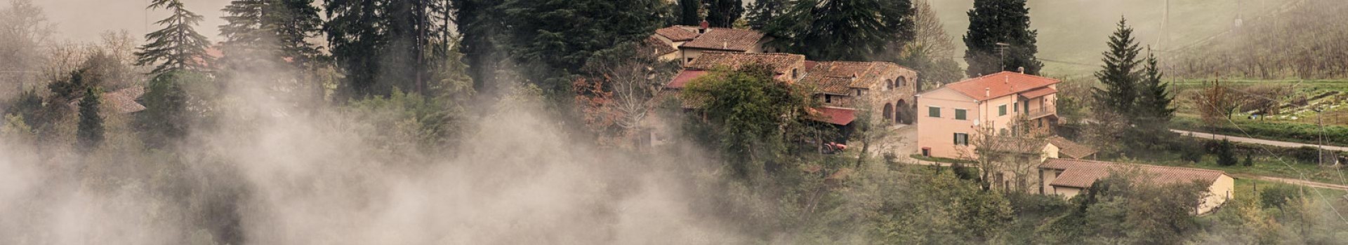 gianfranco_guazzi_natura03