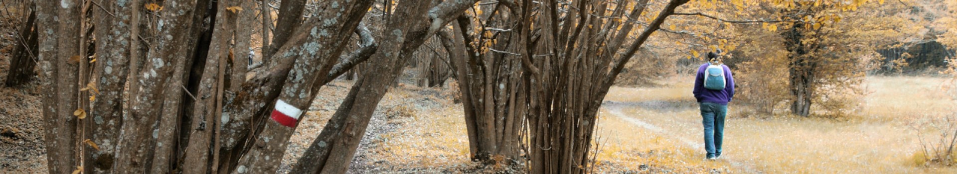 Paolo_Marracchi_natura01A