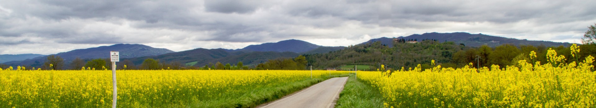 Stefano_Aramini_Home01