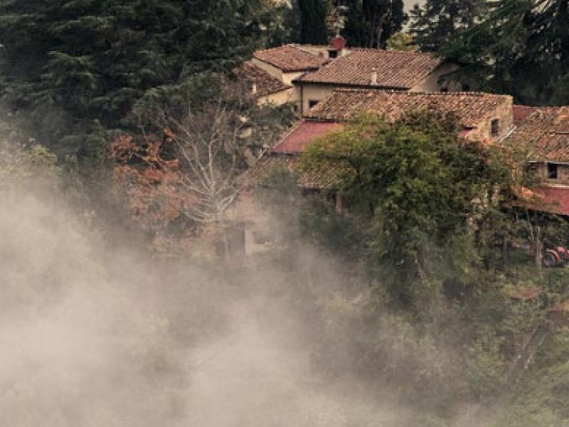 gianfranco_guazzi_natura03