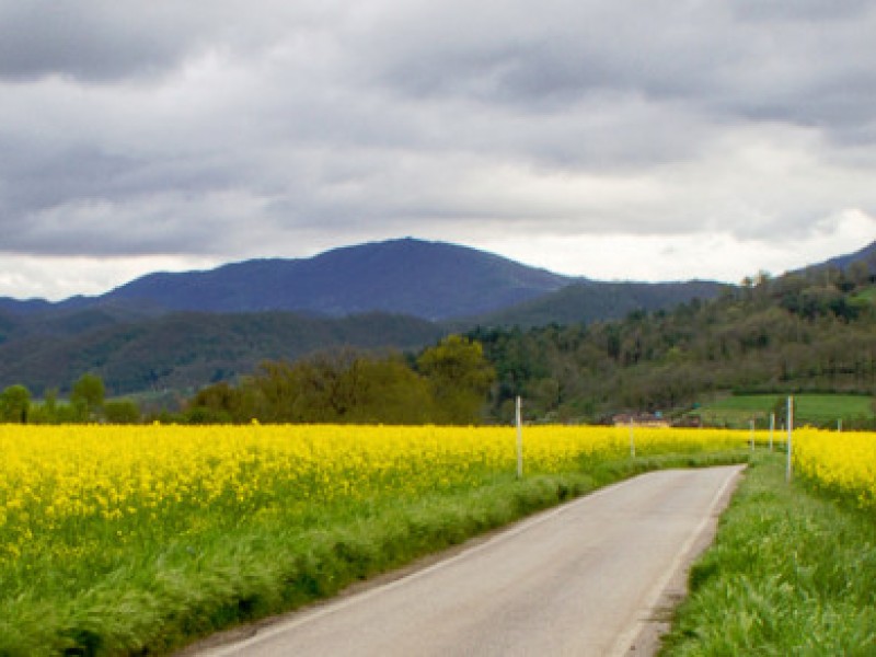 Stefano_Aramini_Home01